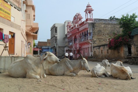 Pushkar, Rajestan. Close to sunset. 